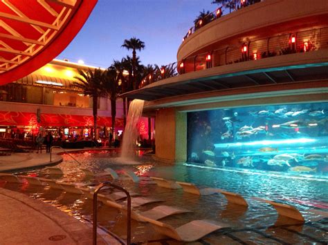  golden nugget las vegas hotel casino pool